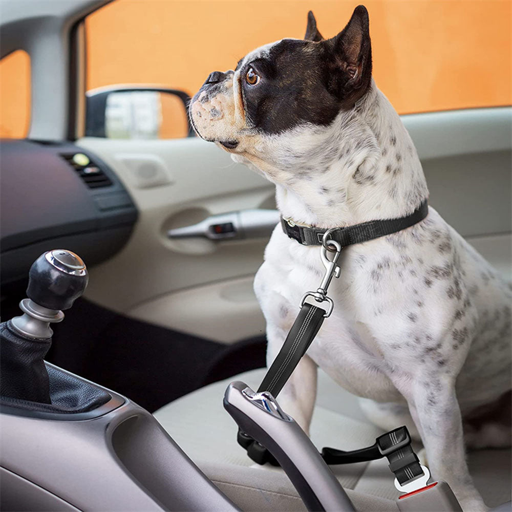 Adjustable Seatbelt Harness For Dogs-Ziggy Dog Training Collar