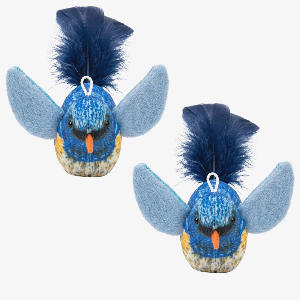 Pack of 2 Realistic Chirping Plush Bird Cat Toy
