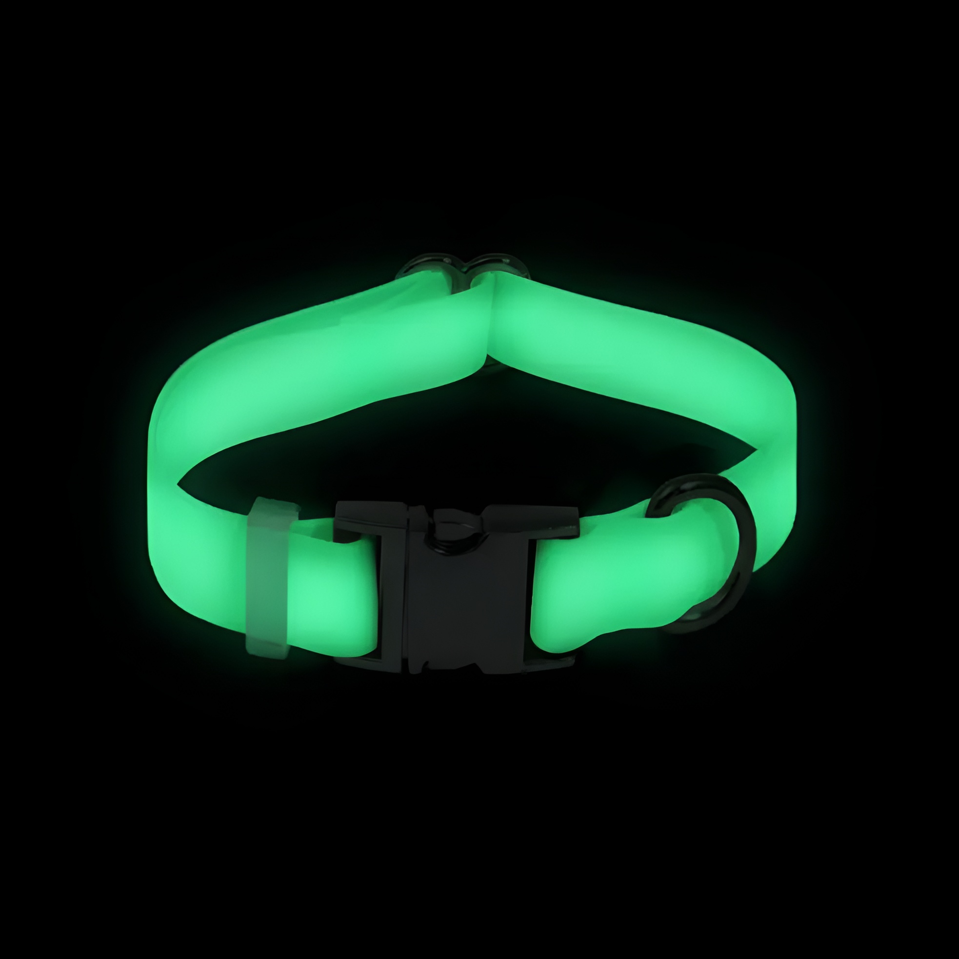 Lunar Glow in the Dark Waterproof Dog Collar