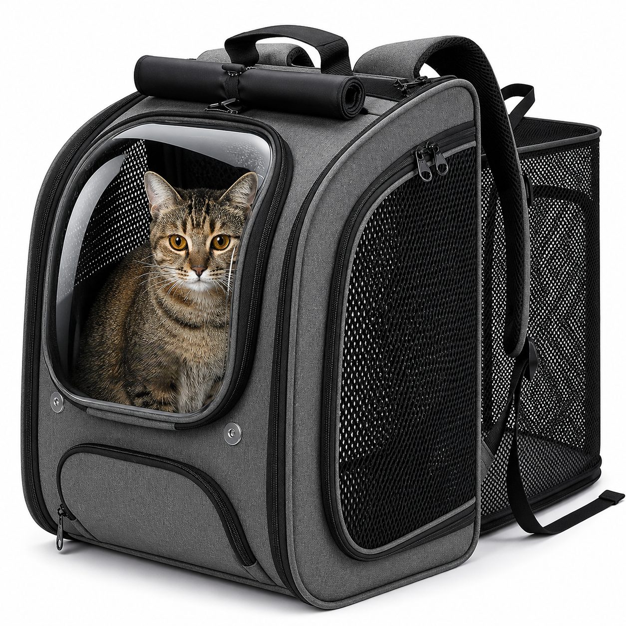 Shaded 3D Design Bubble Backpack For Pets