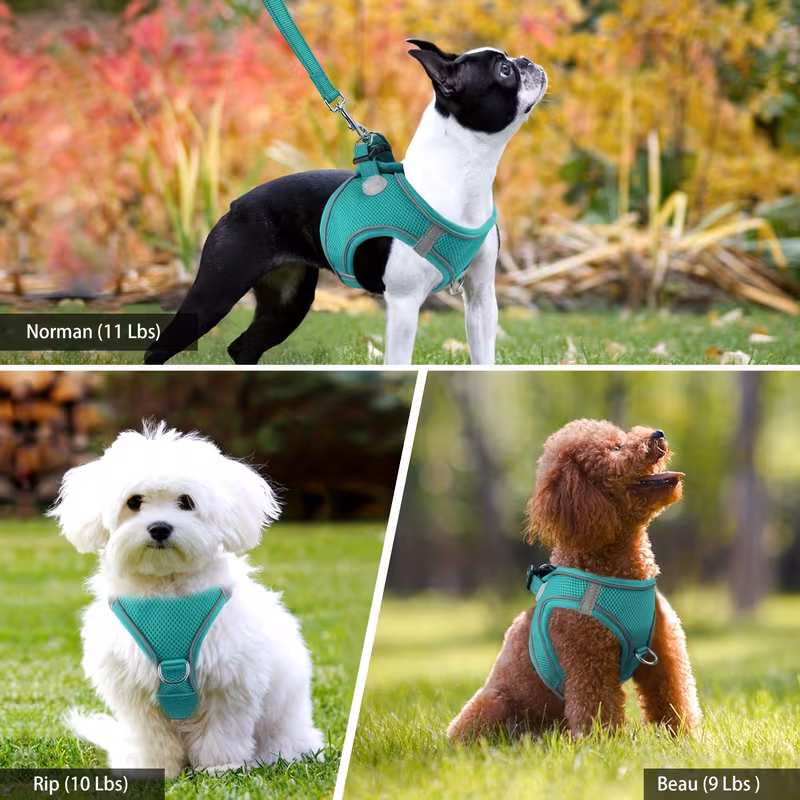 dog harness and leash set reflective soft padded nylon leash breathable mesh vest harness and leash for small and medium dogs 7
