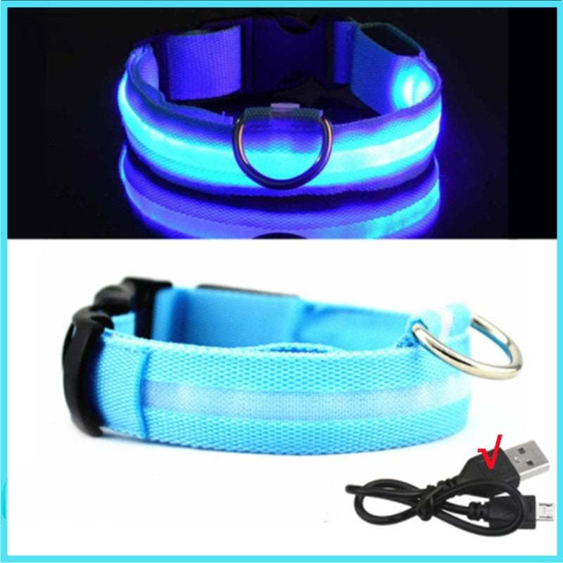Rechargeable Adjustable LED Flashing Glowing Dog Collar-Ziggy Dog Training Collar