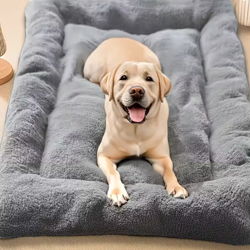 Plush Rectangular Pet Bed Sofa For Dogs