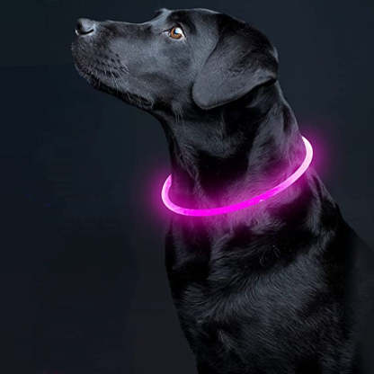 Led Luminous USB Dog Collar-Ziggy Dog Training Collar