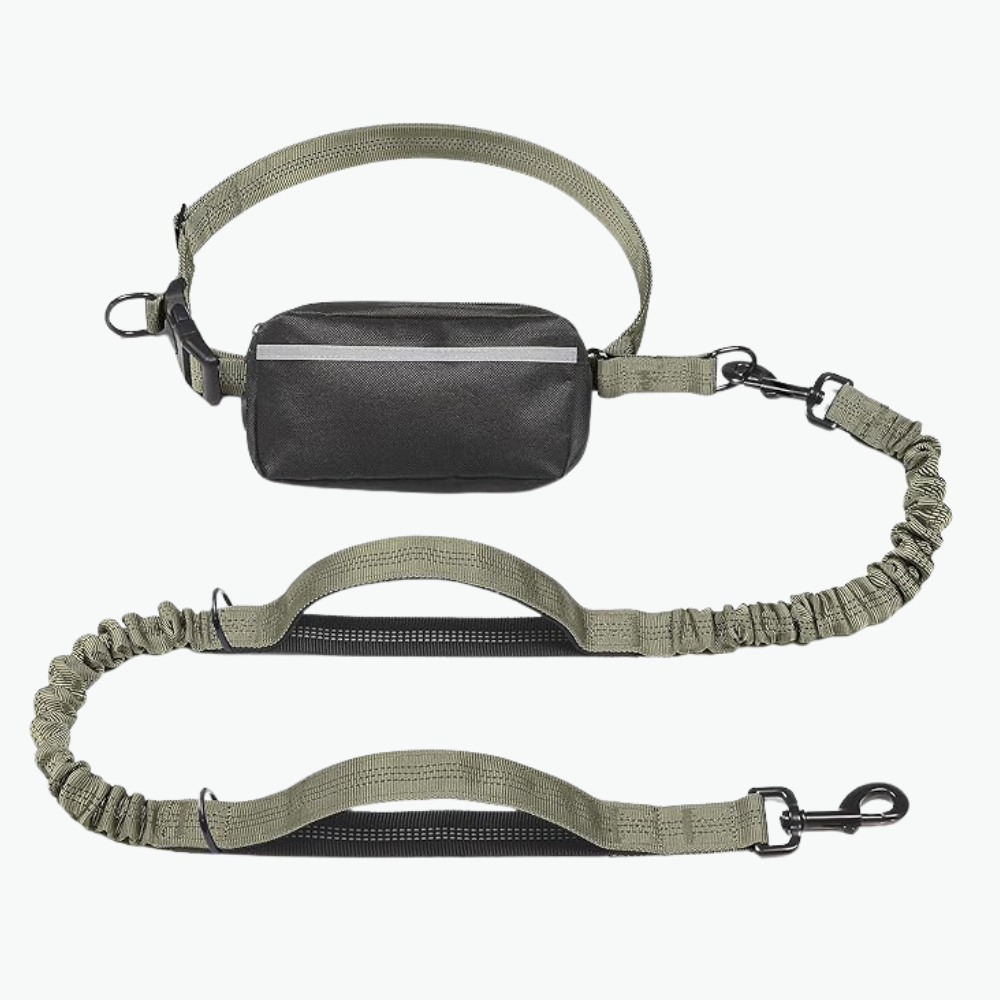 Hands Free Dog Leash With Zipper Pouch