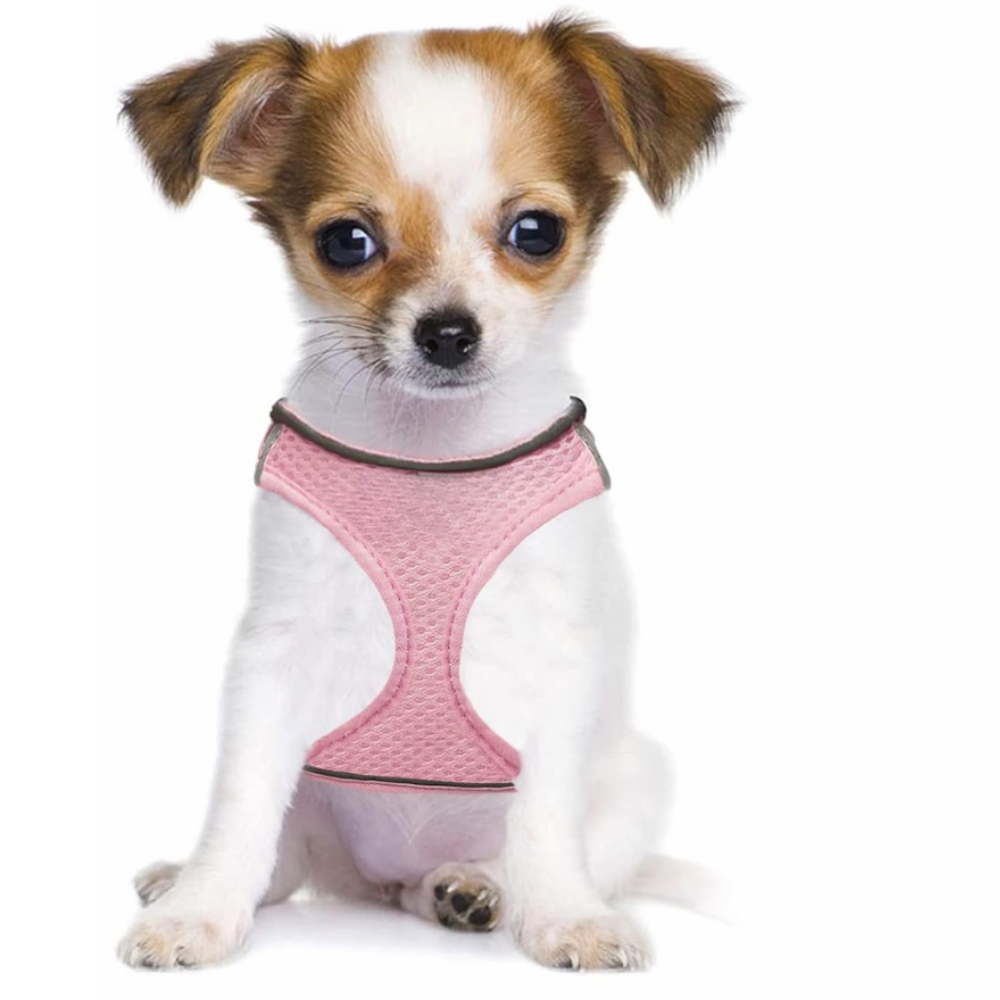Dog Harness And Leash Set No Pull Mesh Reflective Vest For Pets