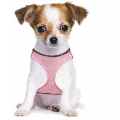 Dog Harness And Leash Set No Pull Mesh Reflective Vest For Pets