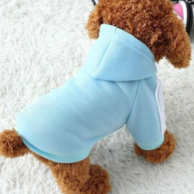 Pet Hoodie Jacket-Ziggy Dog Training Collar