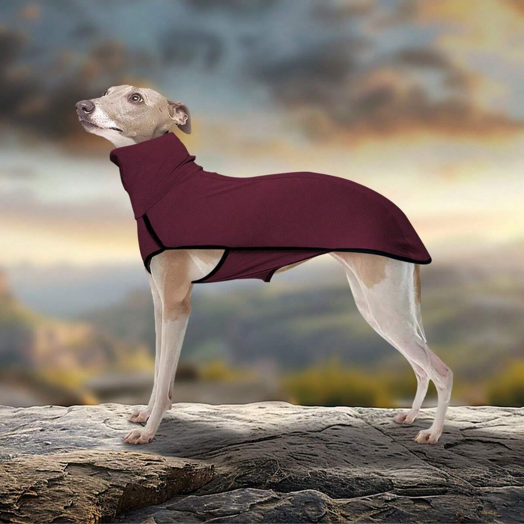 Solid Color Patchwork Pet Hoodie