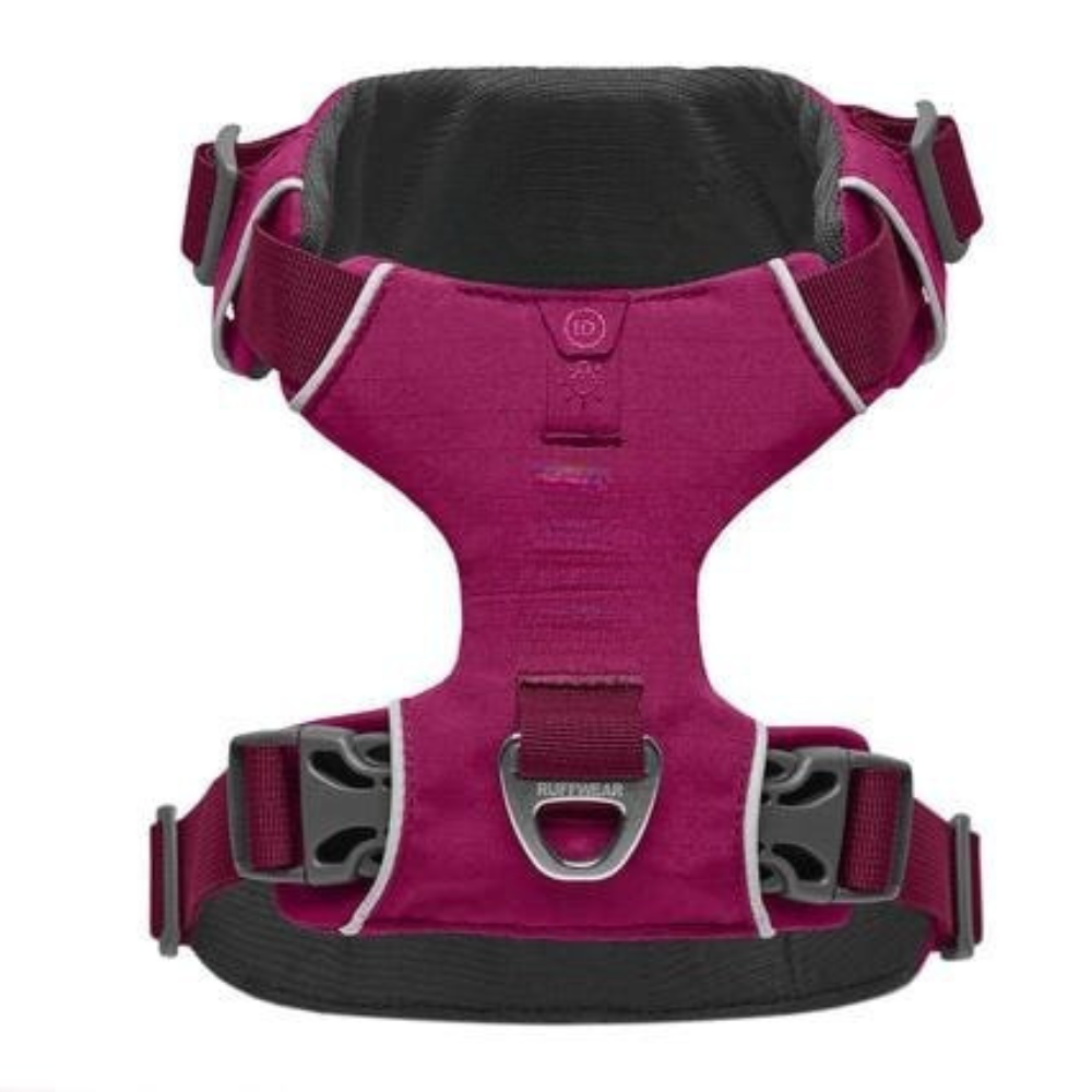 Adjustable Adventure Dog Harness For Outdoor Walking-Ziggy Dog Training Collar