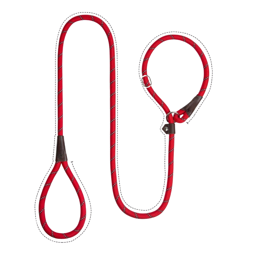 Sturdy Slip Training Leash-Ziggy Dog Training Collar