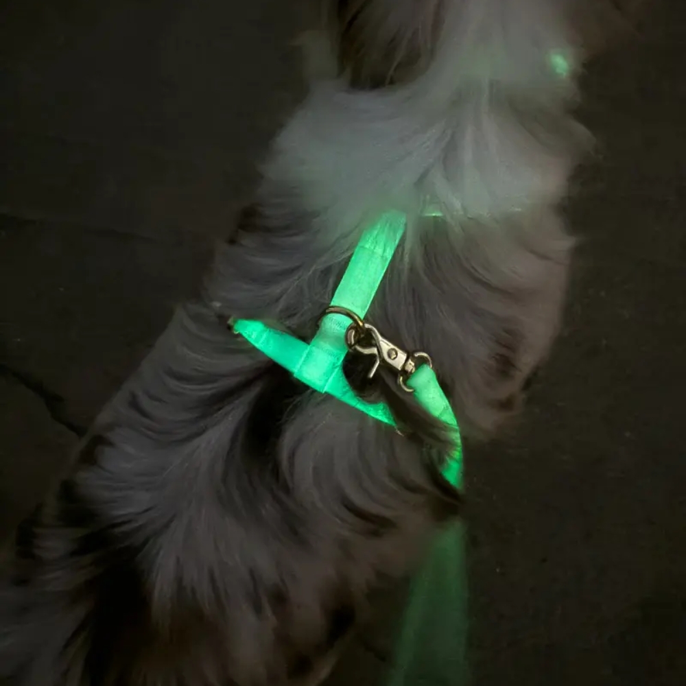 Lunar Glow in the Dark Waterproof Dog Collar