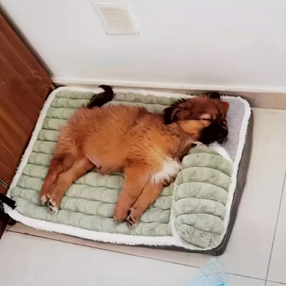 Four Seasons Dog Bed Mat with Removable Washable Winter Pad