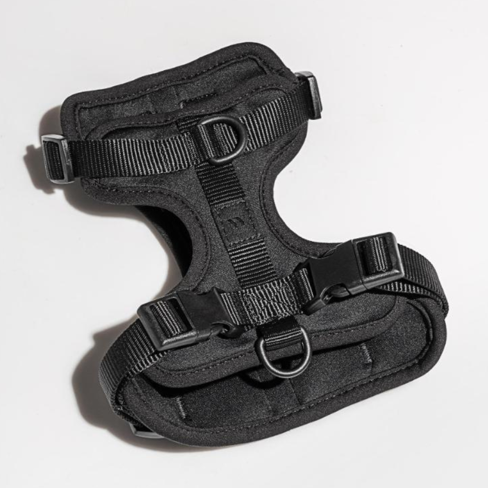 Wild One Dog Harness-Ziggy Dog Training Collar