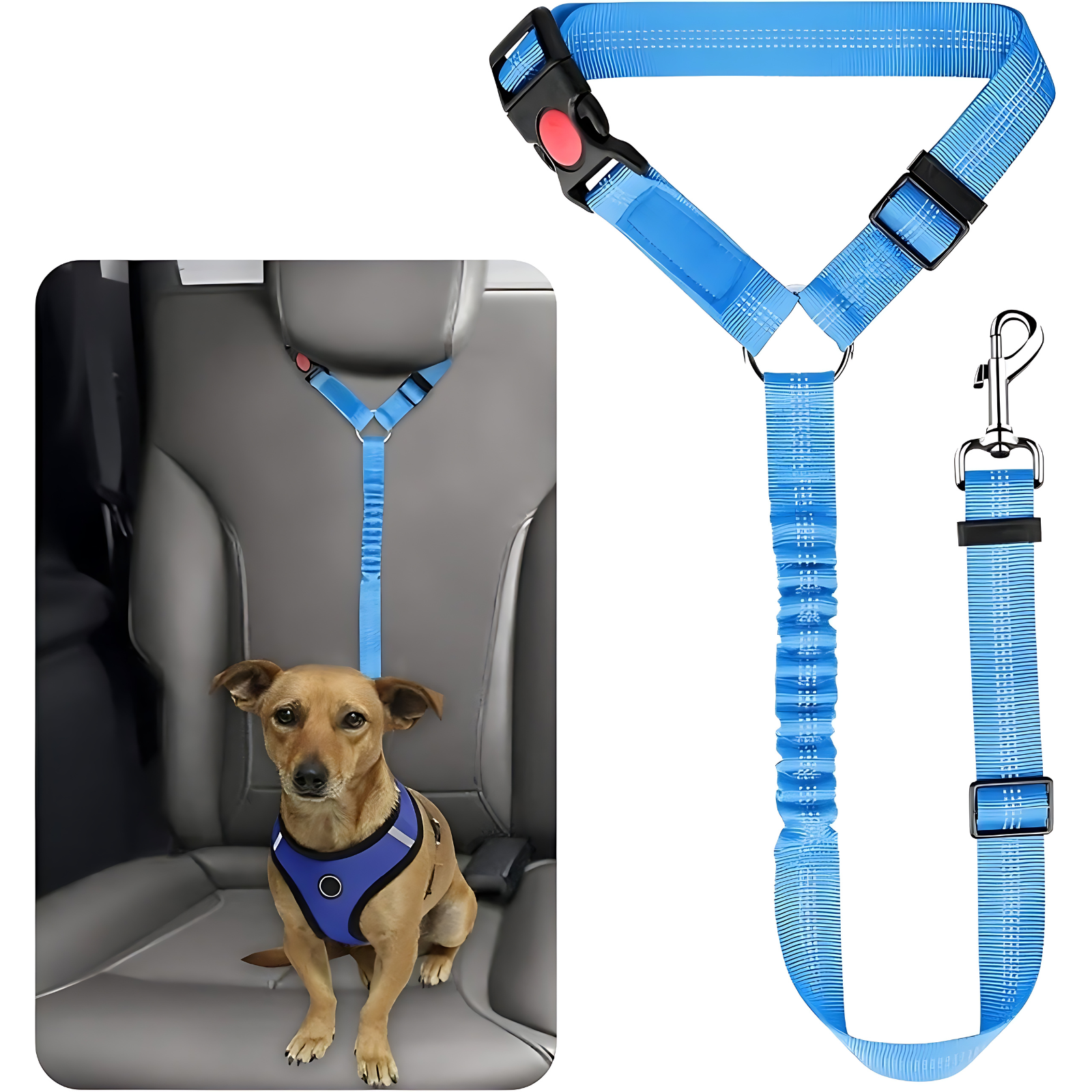 Pet Dog Cat Elastic Seat Belts