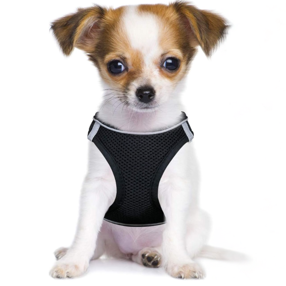 Dog Harness And Leash Set No Pull Mesh Reflective Vest For Pets