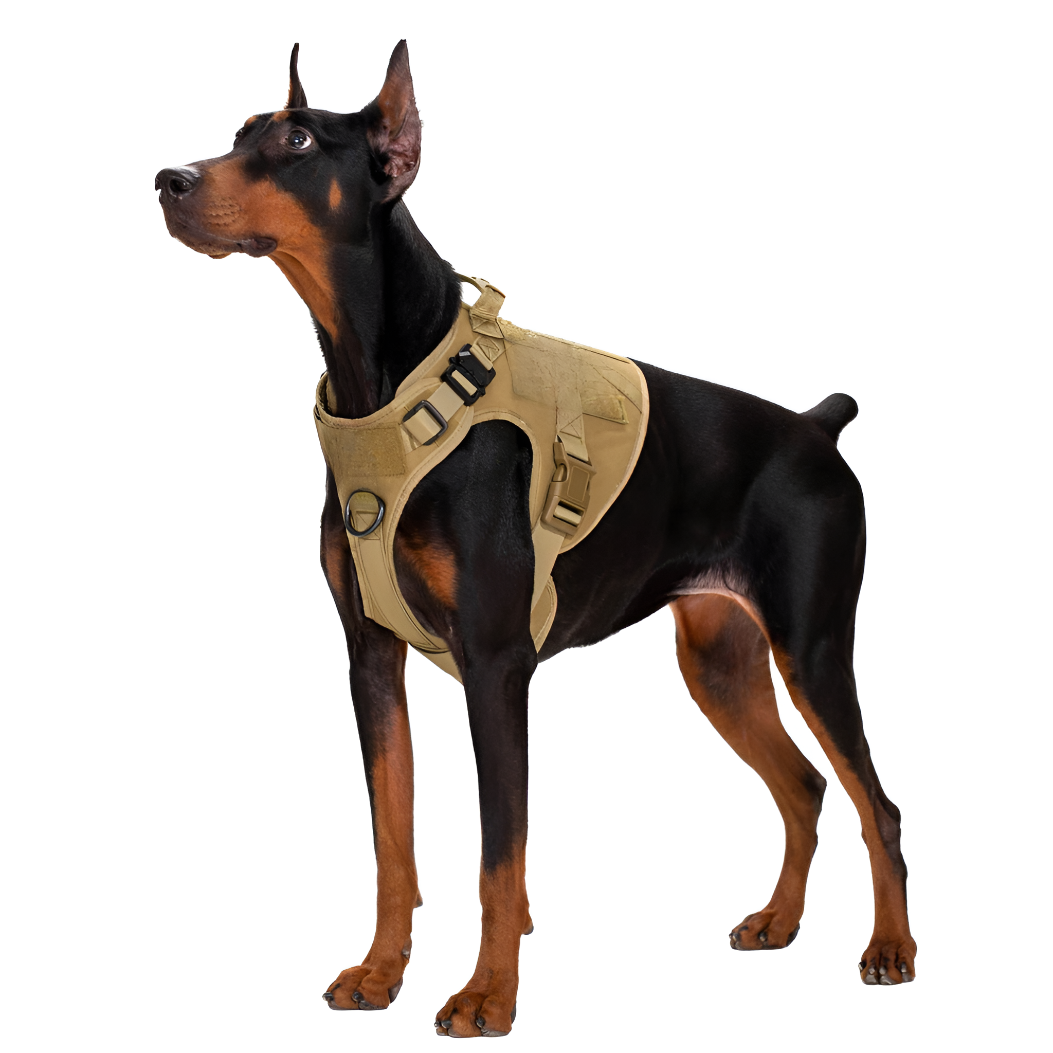 Adjustable Tactical No Pull Dog Harness