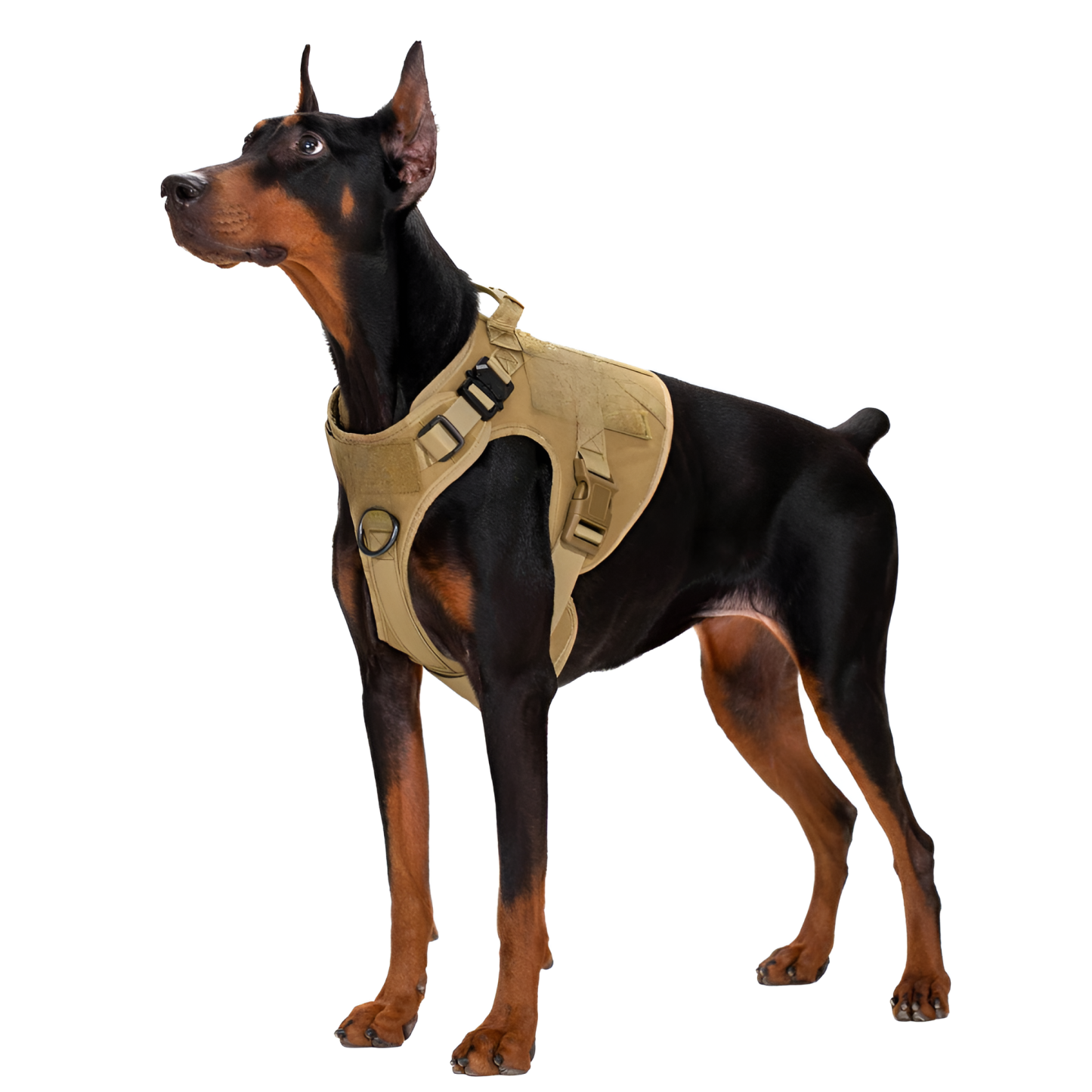 Adjustable Tactical No Pull Dog Harness