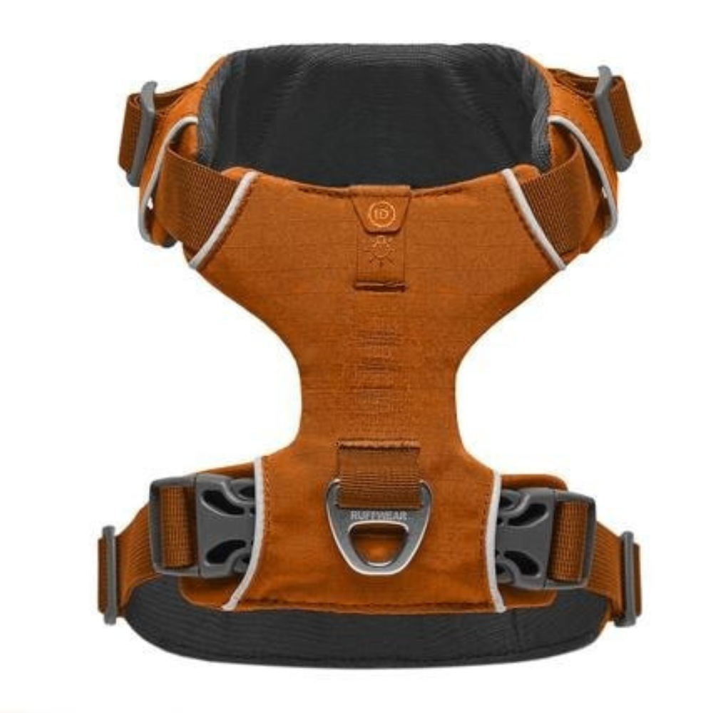 Adjustable Adventure Dog Harness For Outdoor Walking-Ziggy Dog Training Collar