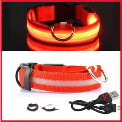 Rechargeable Adjustable LED Flashing Glowing Dog Collar-Ziggy Dog Training Collar