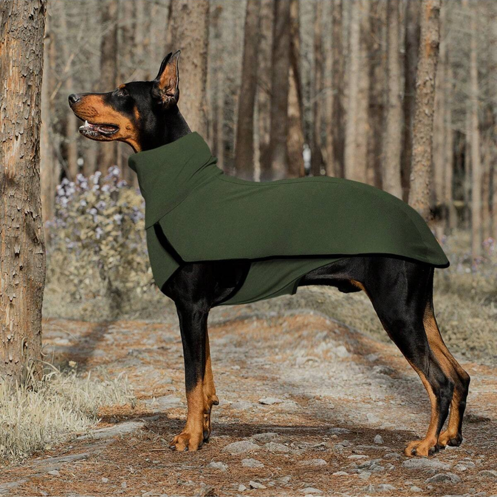 Solid Color Patchwork Pet Hoodie