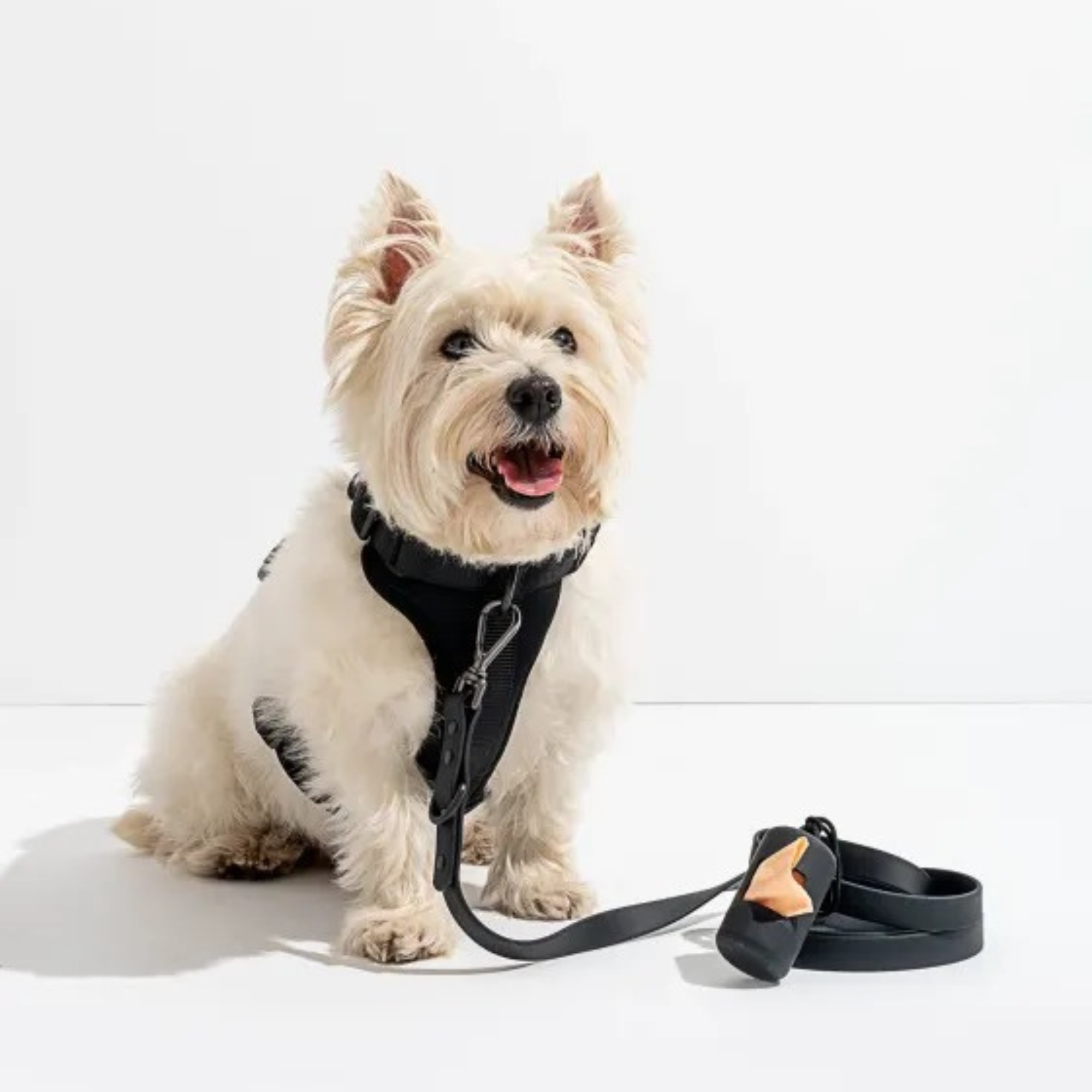 Dog Harness With Waterproof Walking Leash Kit