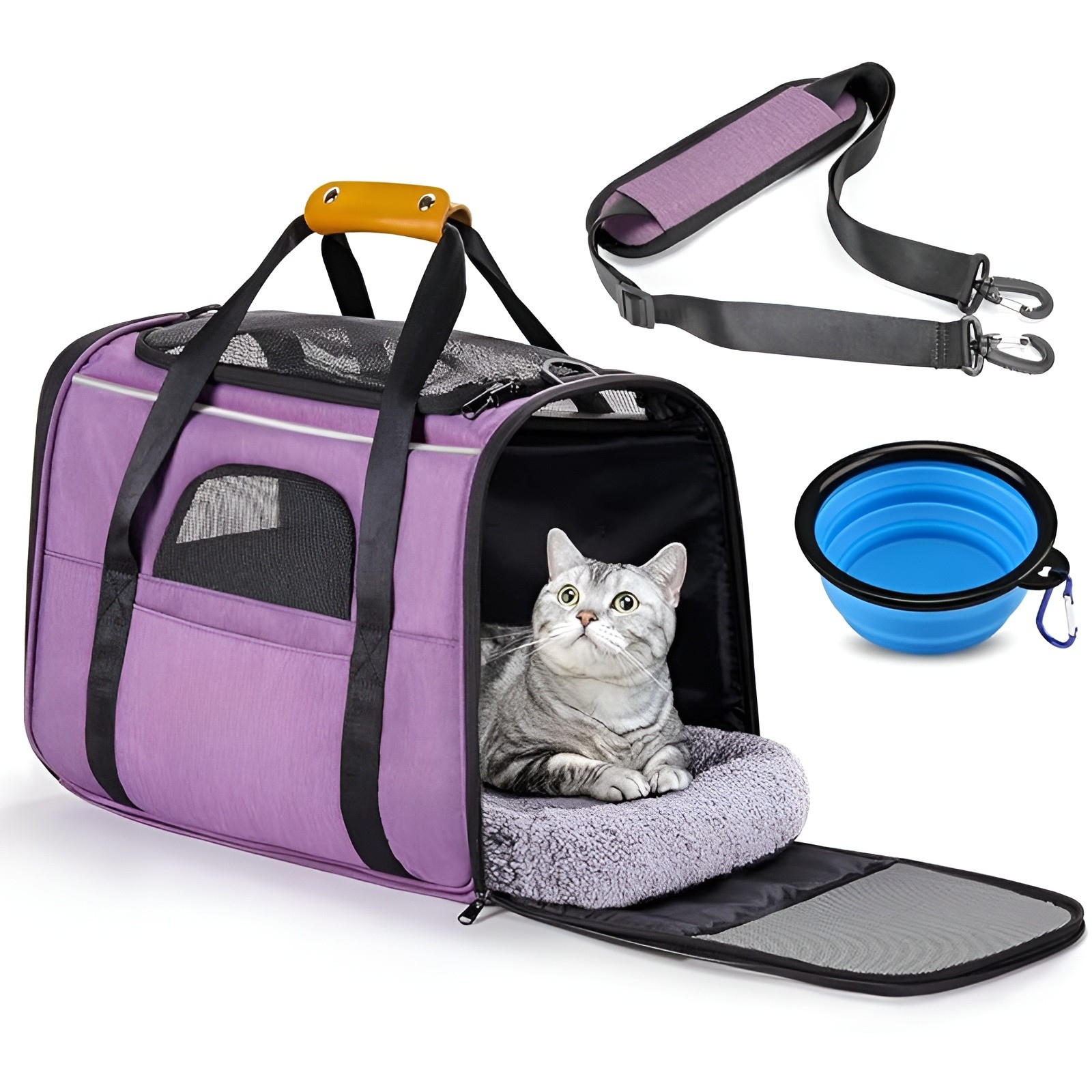 Soft Sided Cat Carrier