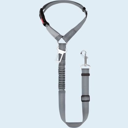 Elastic With Buckle Pet Dog Cat Seat Belt