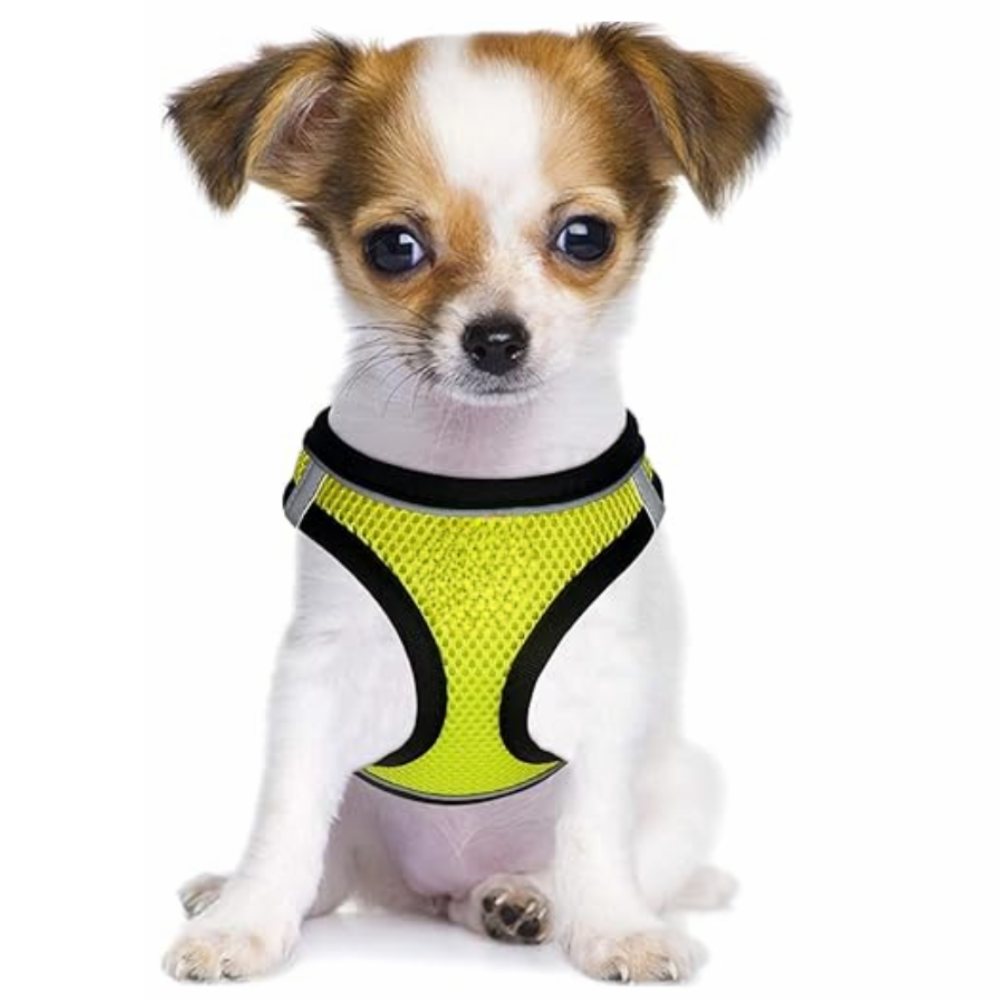 Dog Harness And Leash Set No Pull Mesh Reflective Vest For Pets