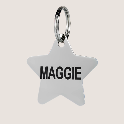 Custom Stainless Steel Pet ID Tags