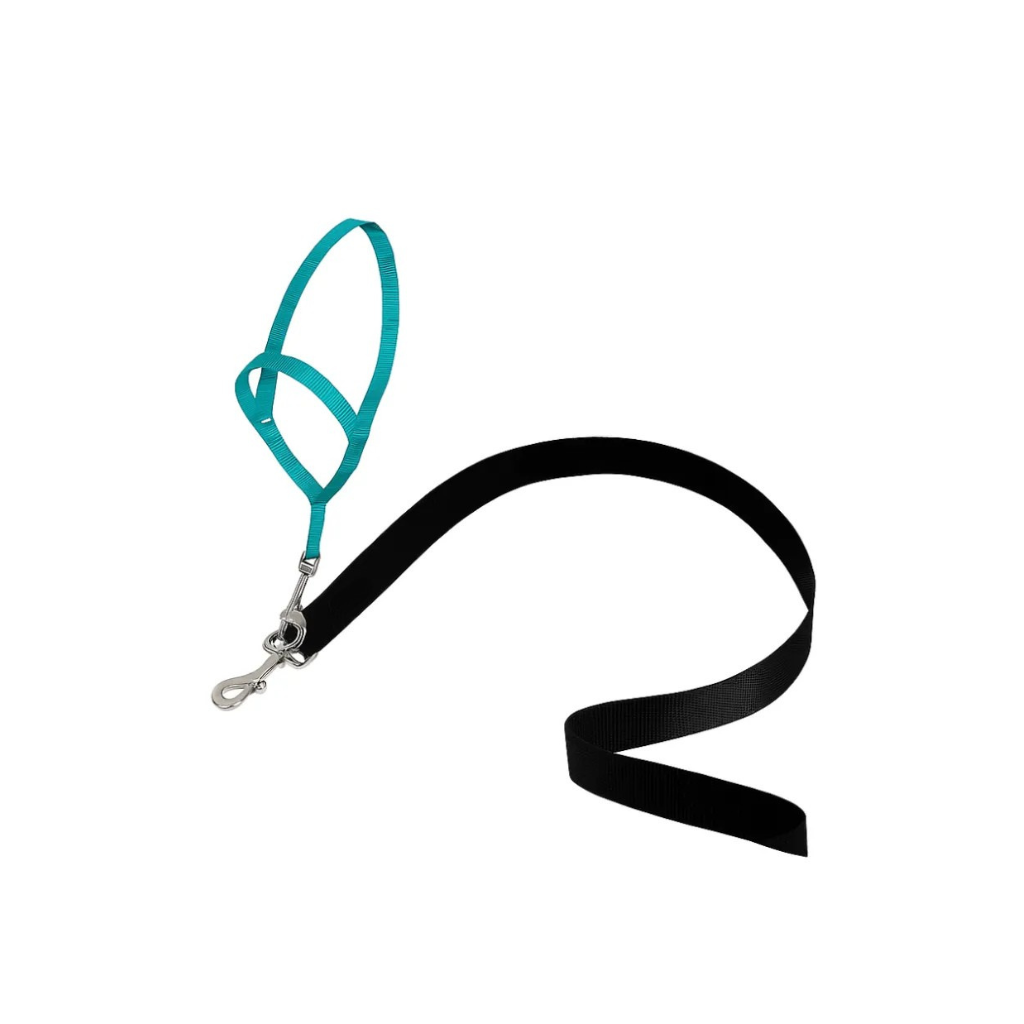 Gentle Leader No Pull Dog Headcollar For Easier Walks