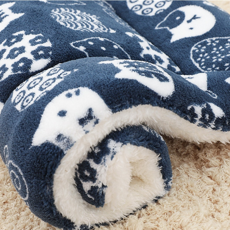 Thickened Pet Bear Patterned Bed-Ziggy Dog Training Collar