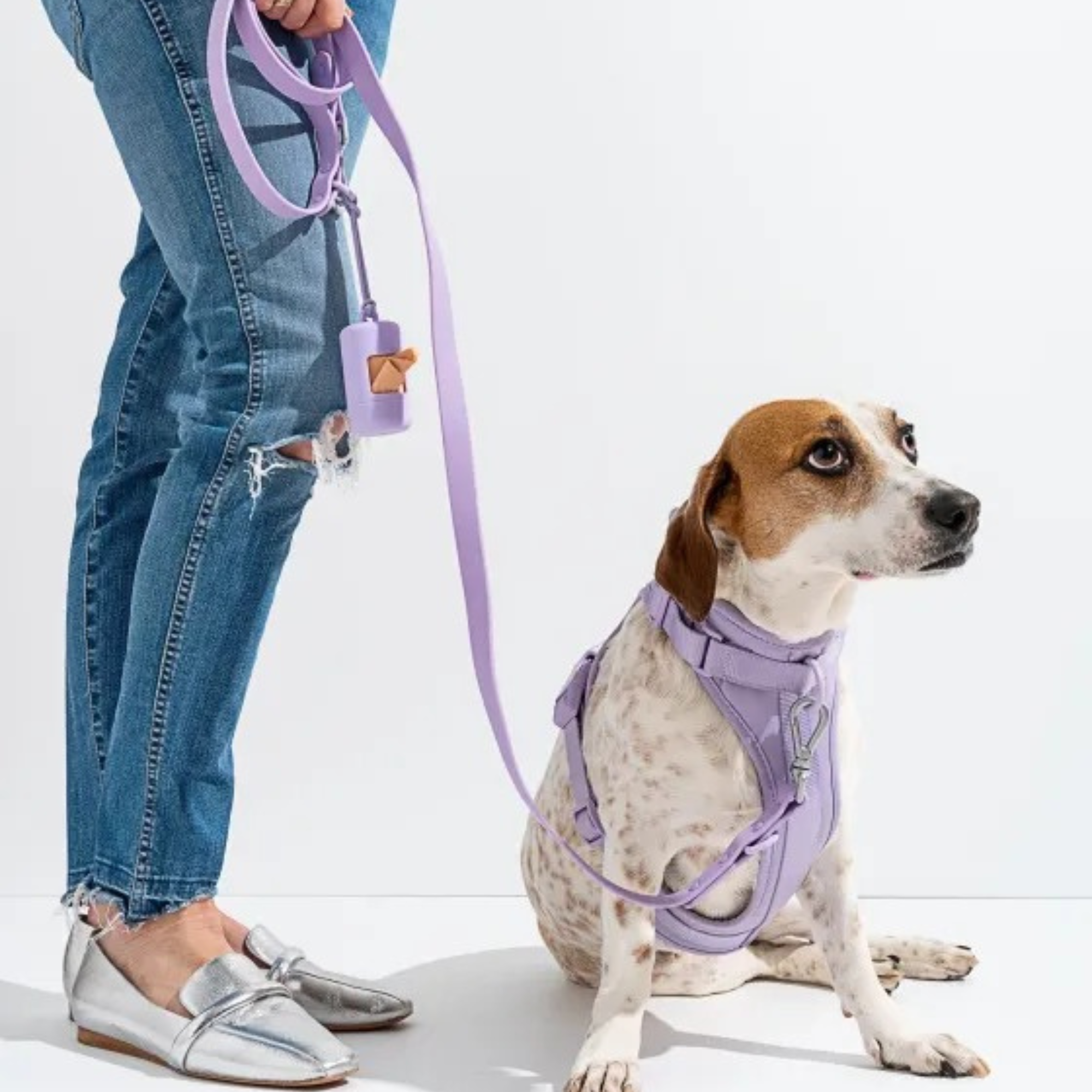 Dog Harness With Waterproof Walking Leash Kit