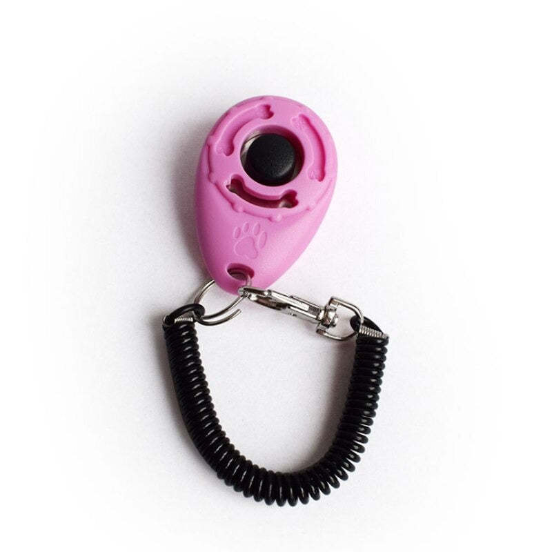 Adjustable Sound Key Chain For Pet-Ziggy Dog Training Collar