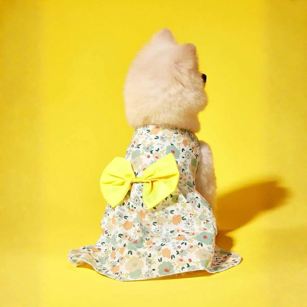 Printed Pet Summer Dress With Bow Detail For Cats And Dogs Stylish Wear