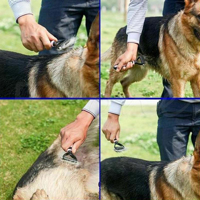 Pet Dogs Fur Knot Cutter Grooming Shedding Tools-Ziggy Dog Training Collar