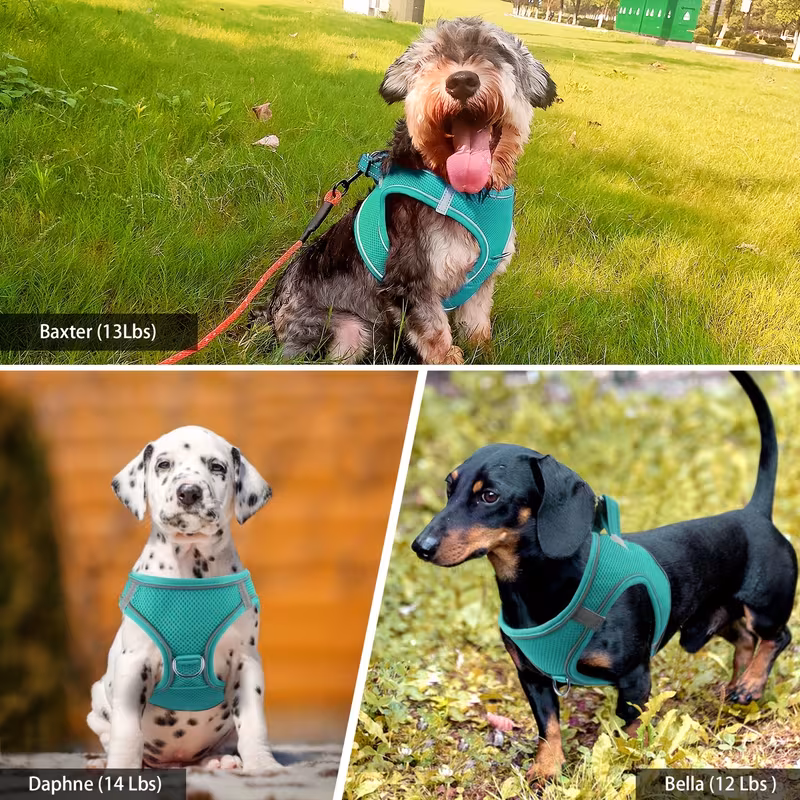 dog harness and leash set reflective soft padded nylon leash breathable mesh vest harness and leash for small and medium dogs 6
