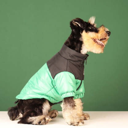 Large Warm Winter Dog Clothes-Ziggy Dog Training Collar