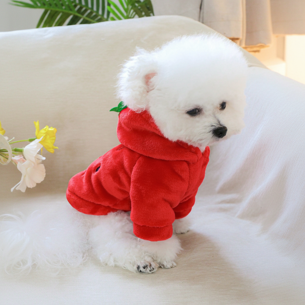 Strawberry Flannel Pet Hoodie