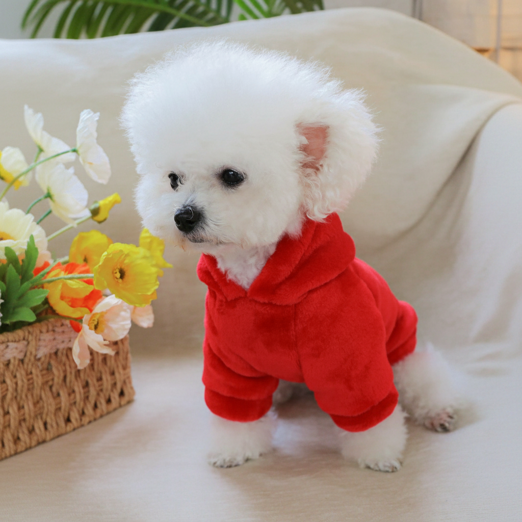 Strawberry Flannel Pet Hoodie