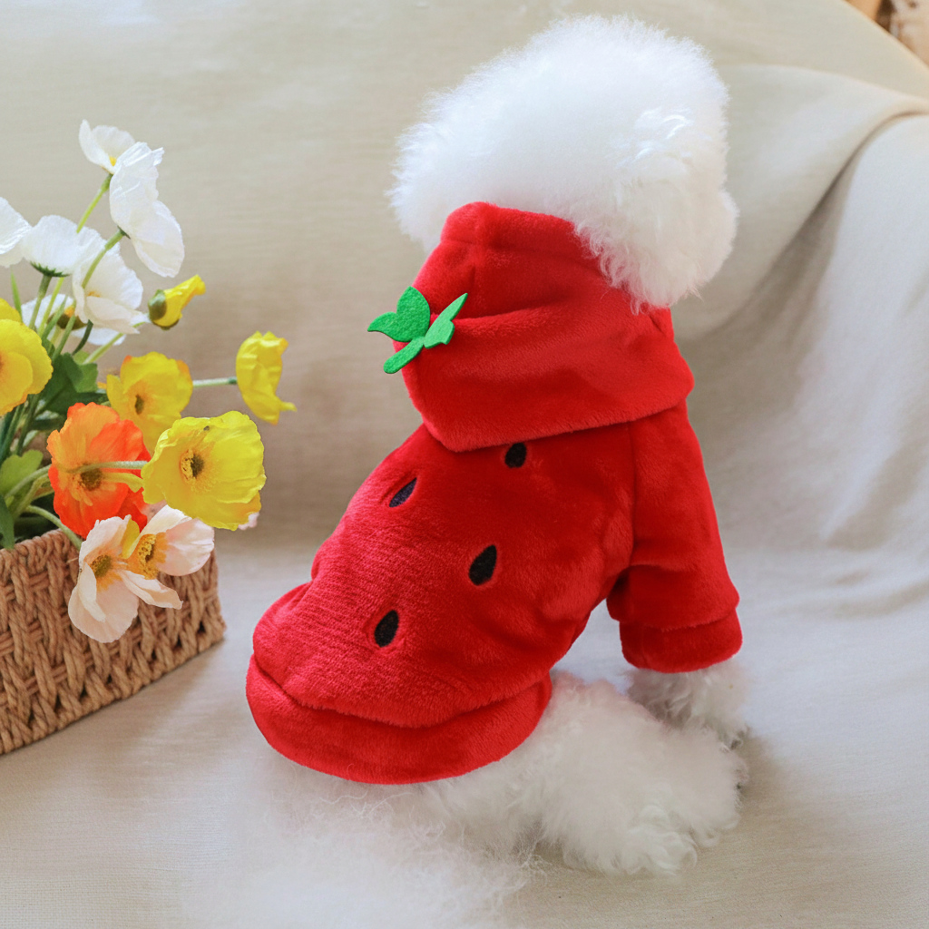Strawberry Flannel Pet Hoodie