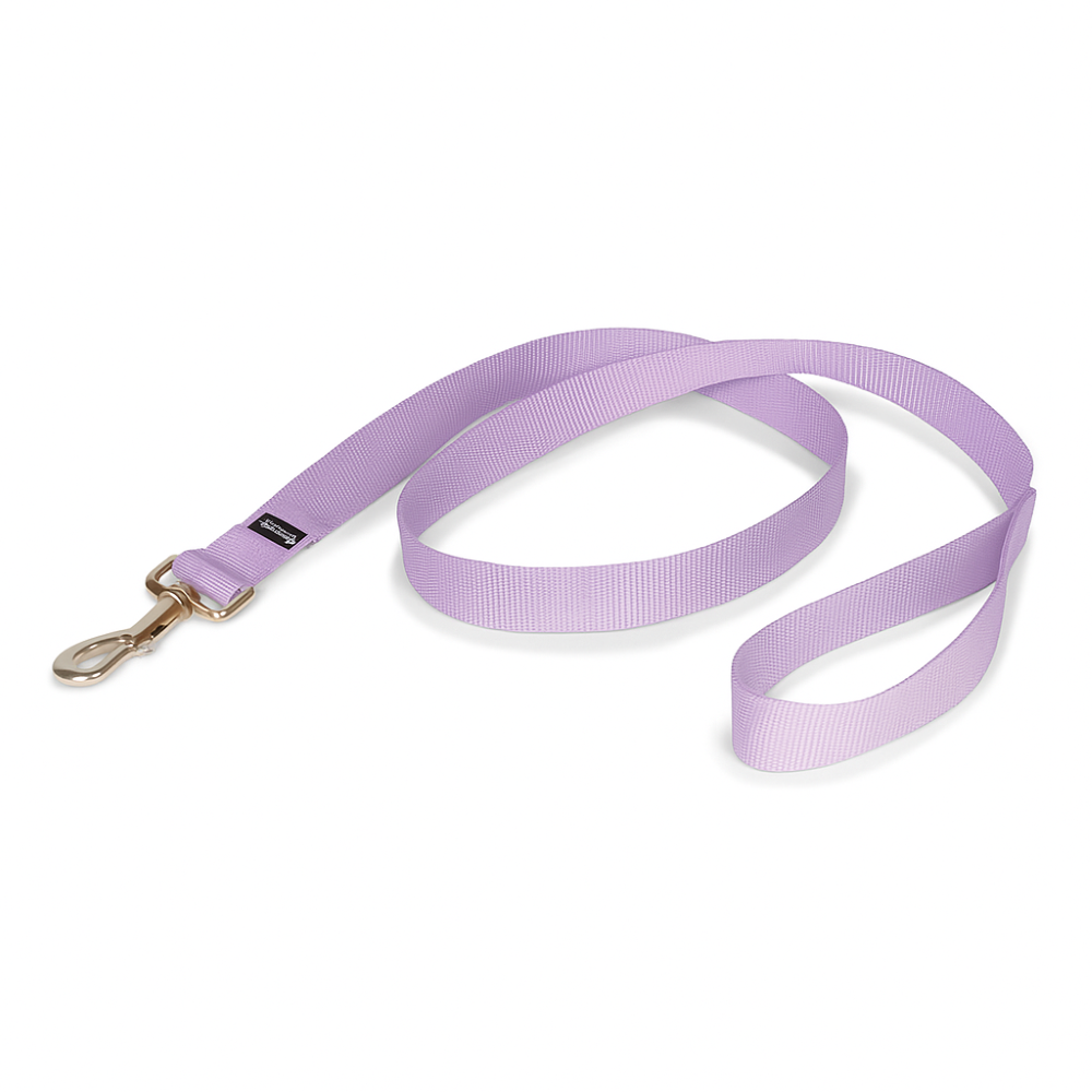 Adjustable No Pull Dog Harness With Training Leash-Ziggy Dog Training Collar