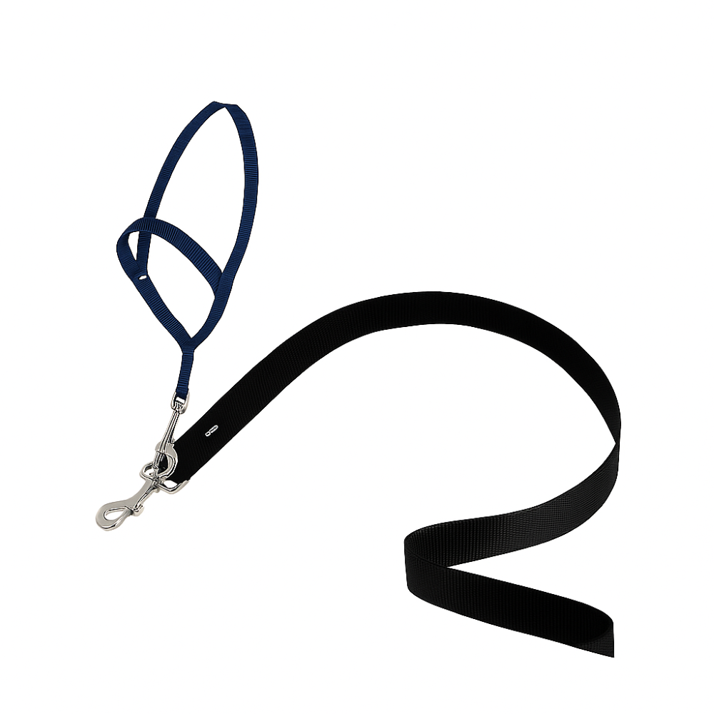 Adjustable No Pull Dog collar-Ziggy Dog Training Collar