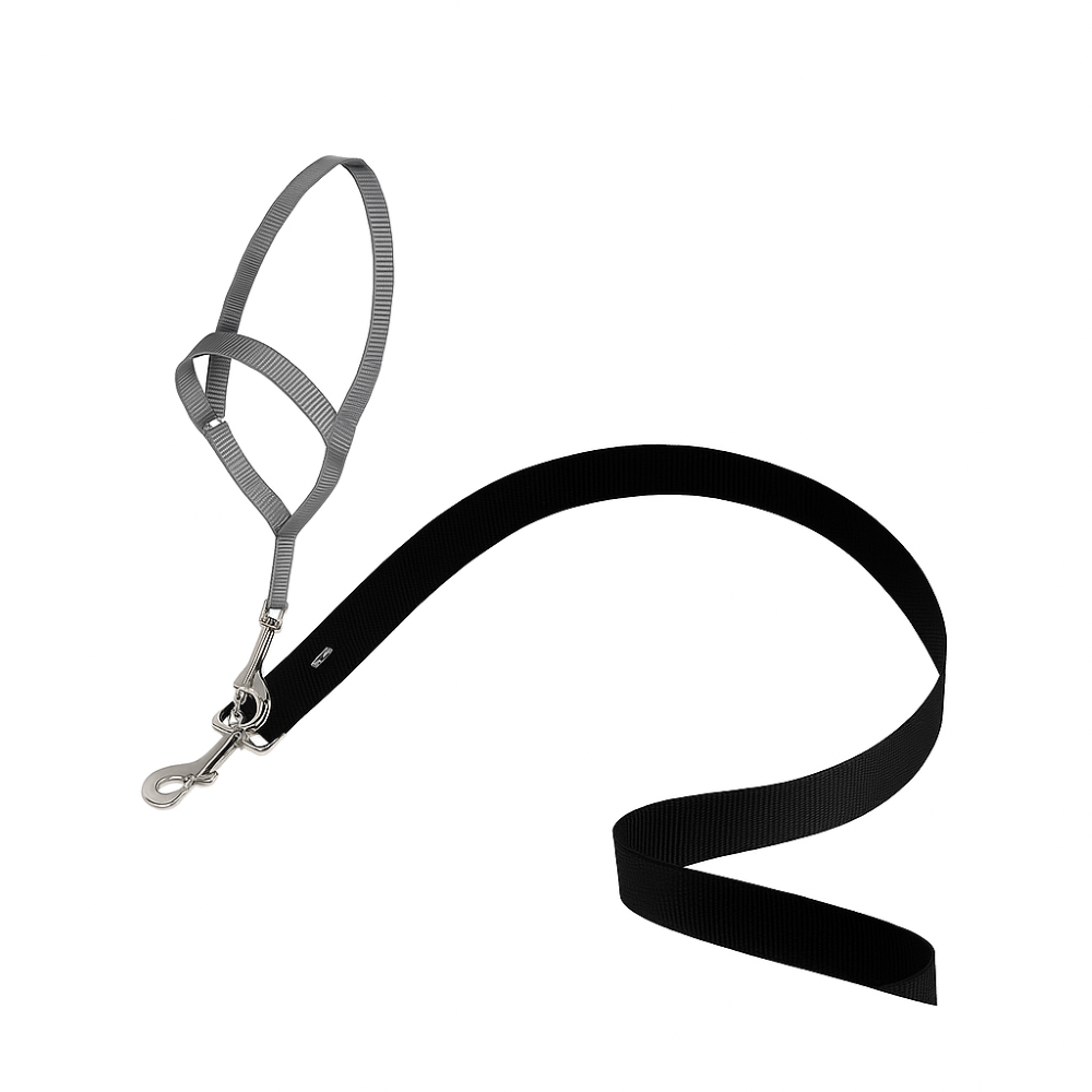 Adjustable No Pull Dog collar-Ziggy Dog Training Collar