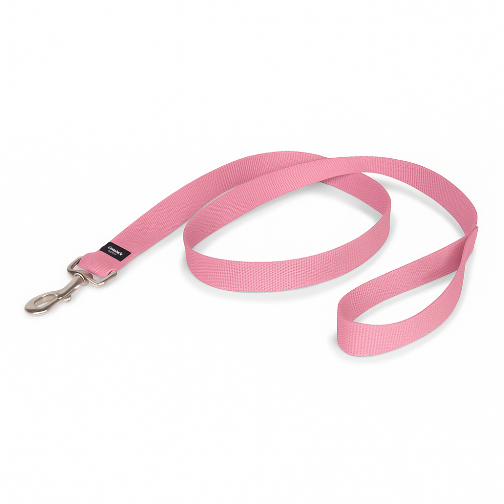 Adjustable No Pull Dog Harness With Training Leash-Ziggy Dog Training Collar