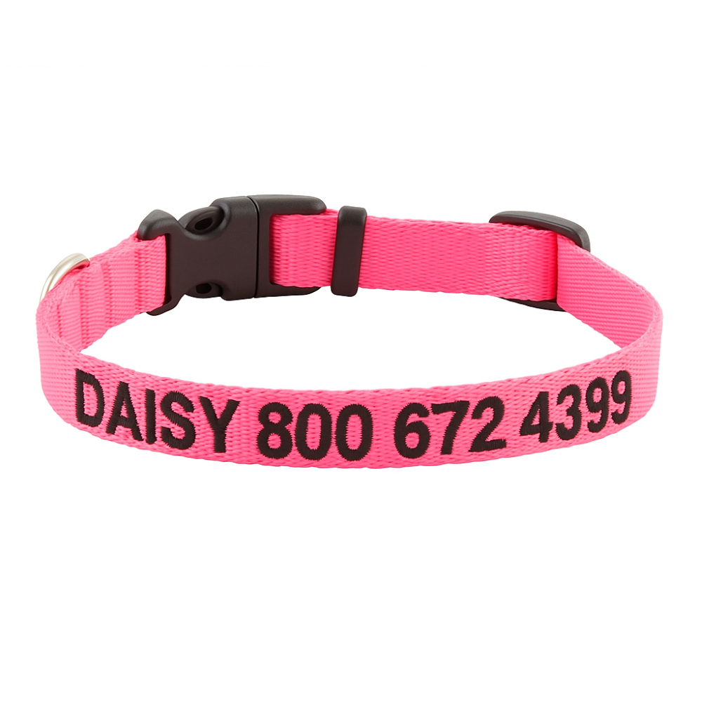 Personalized Adjustable Dog Collar For All Breeds-Ziggy Dog Training Collar