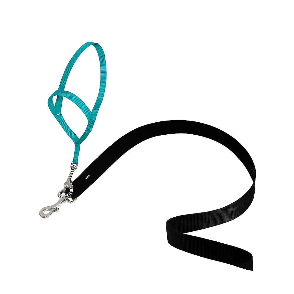 Adjustable No Pull Dog collar-Ziggy Dog Training Collar