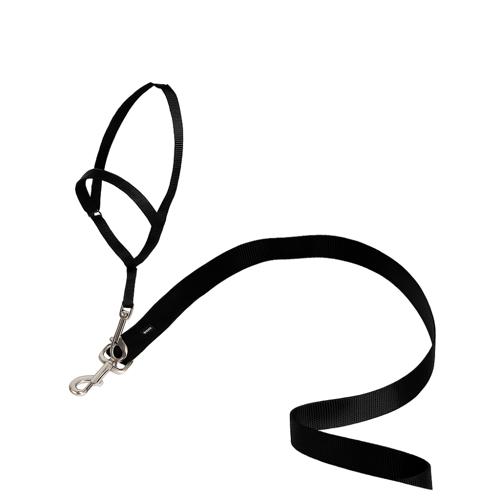 Adjustable No Pull Dog collar-Ziggy Dog Training Collar