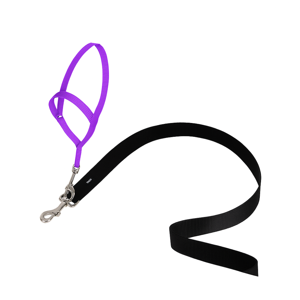 Adjustable No Pull Dog collar-Ziggy Dog Training Collar