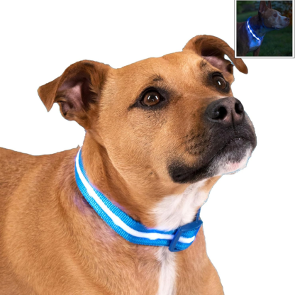 Adjustable Strap Design Dog Leash-Ziggy Dog Training Collar